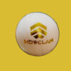 Cricket Ball - White Front
