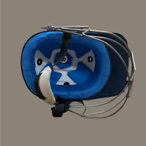 warrior strike cricket helmet 1